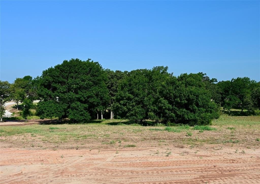 1.85 acres in Parker County - photo 2