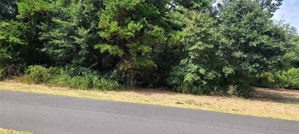 0.25 acres in Smith County - photo 3