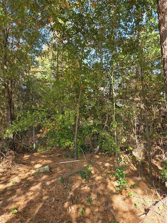 0.25 acres in Smith County - photo 4