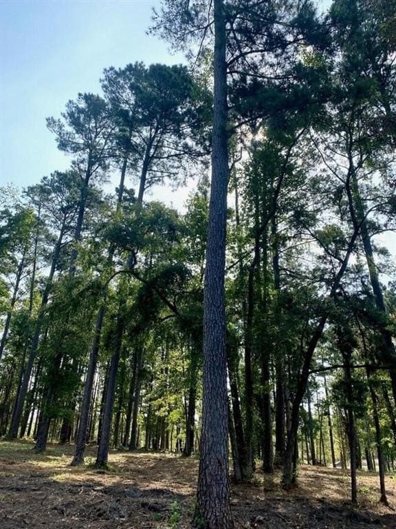 1.01 acres in Harrison County - photo 26