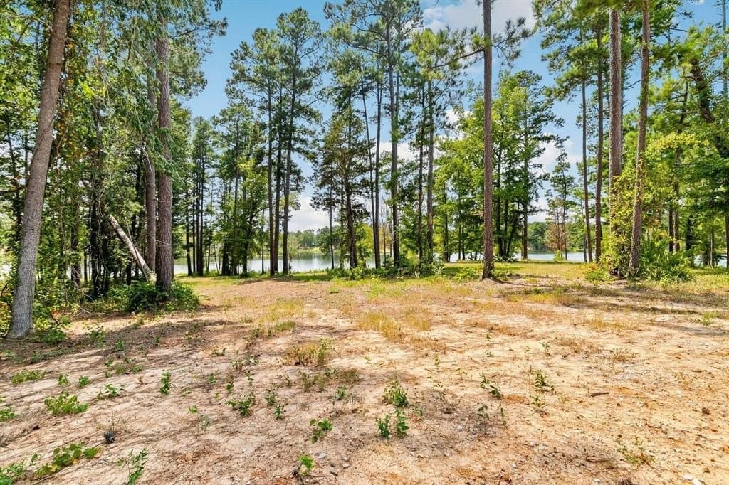 1.01 acres in Harrison County - photo 7