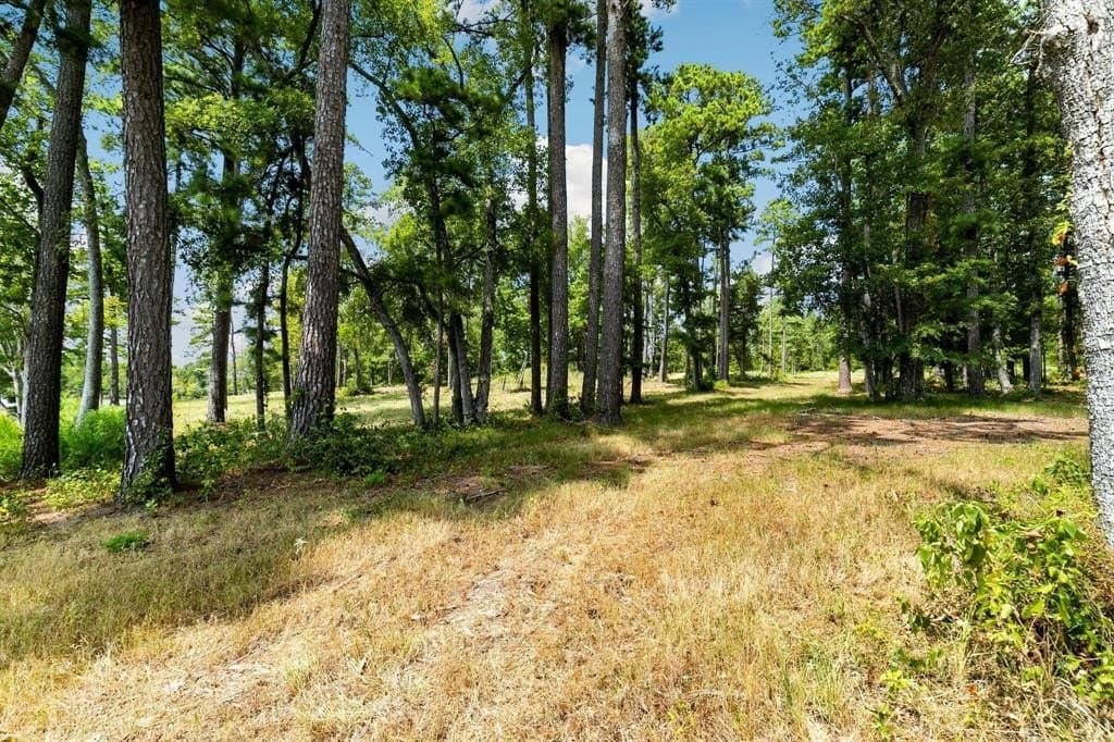 1.01 acres in Harrison County - photo 10