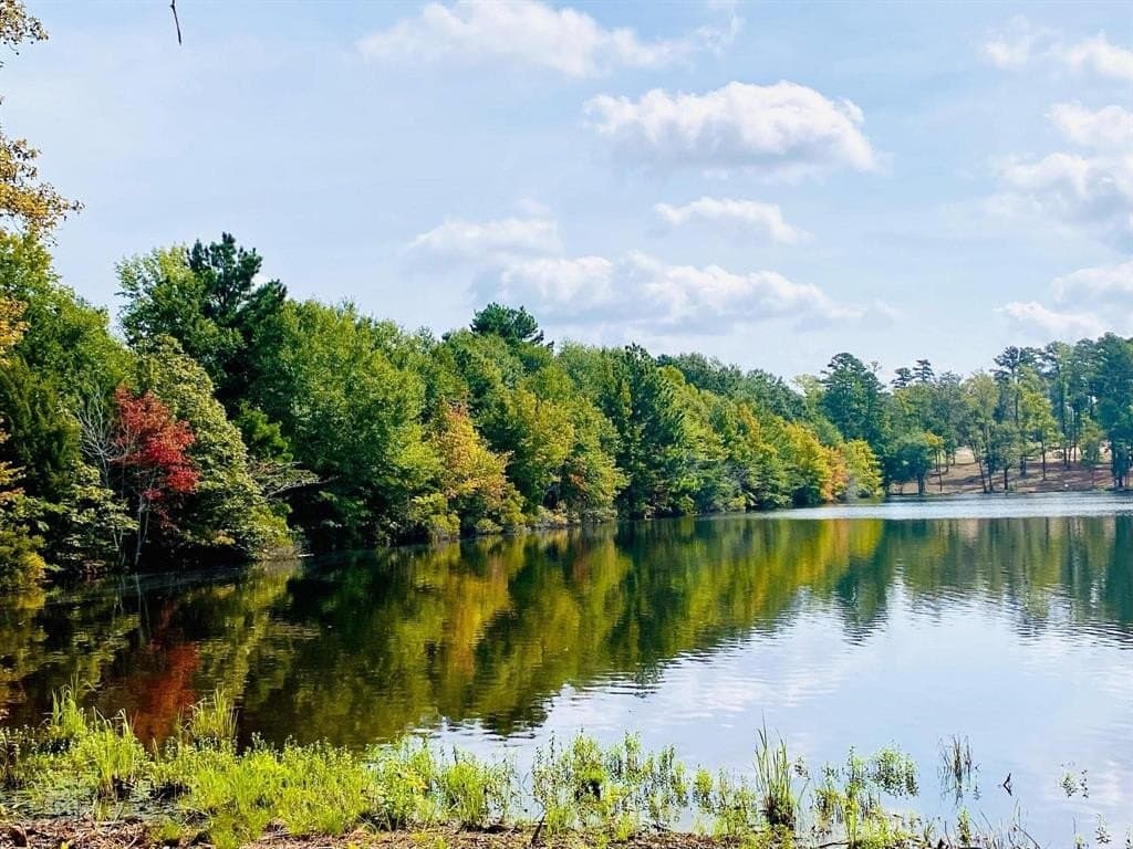 1.01 acres in Harrison County - photo 20