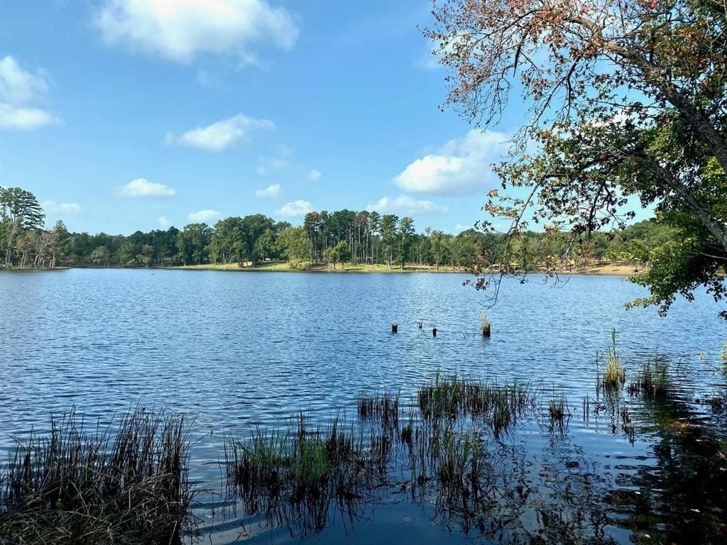 1.01 acres in Harrison County - photo 19