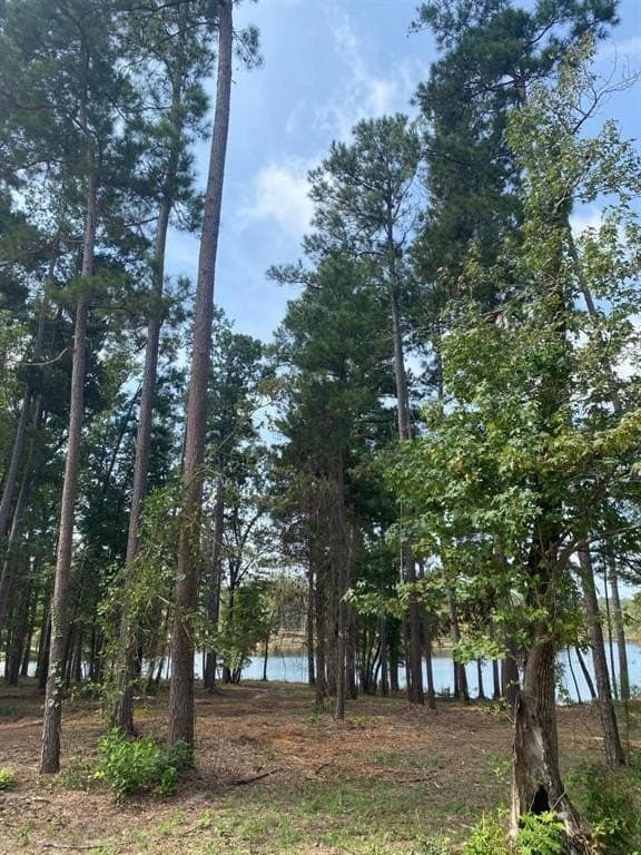 1.01 acres in Harrison County - photo 24