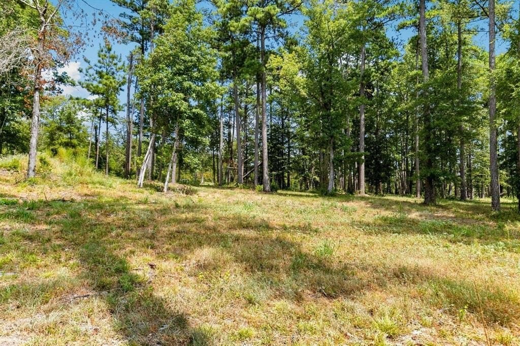 1.01 acres in Harrison County - photo 8