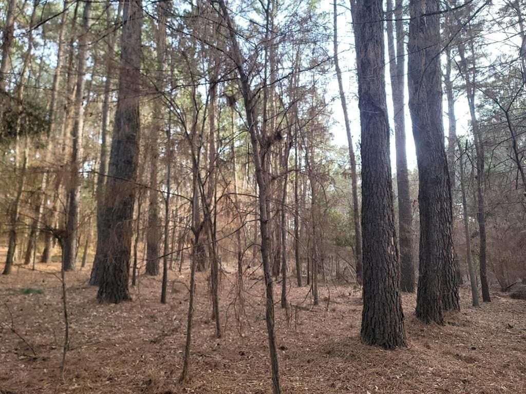 5.02 acres in Henderson County - photo 15