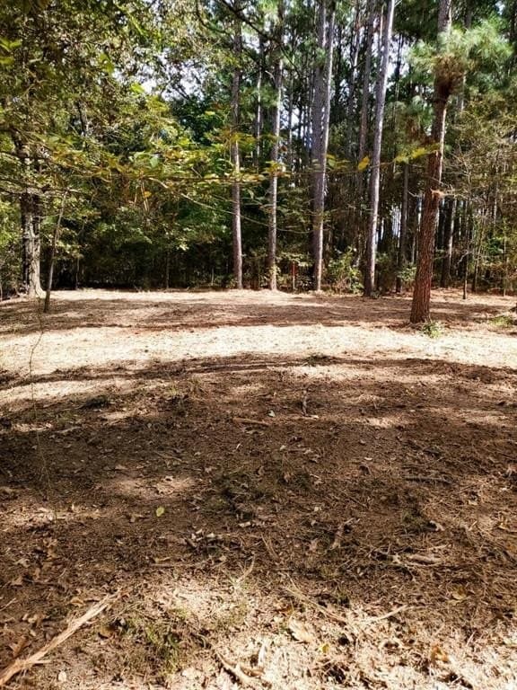 5.02 acres in Henderson County - photo 4