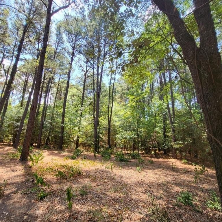 5.02 acres in Henderson County - photo 9