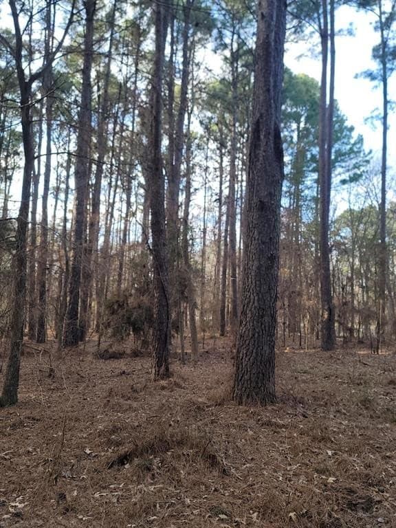 5.02 acres in Henderson County - photo 14