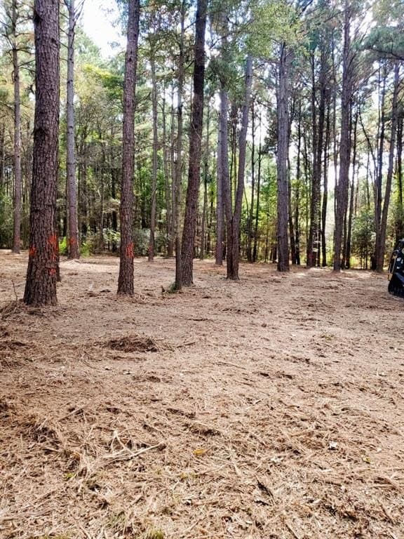 5.02 acres in Henderson County - photo 3