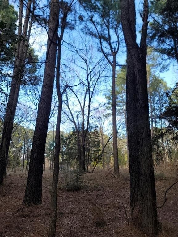 5.02 acres in Henderson County - photo 17