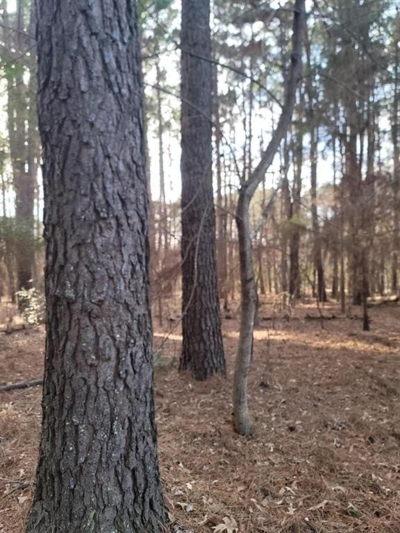 5.02 acres in Henderson County - photo 12