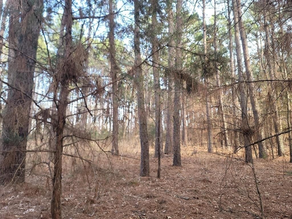 5.02 acres in Henderson County - photo 16