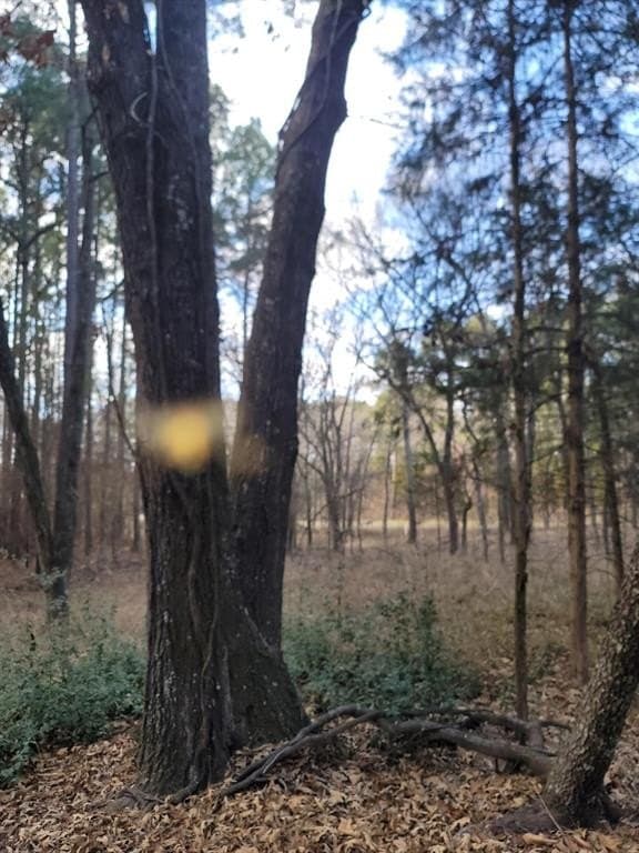 5.02 acres in Henderson County - photo 11
