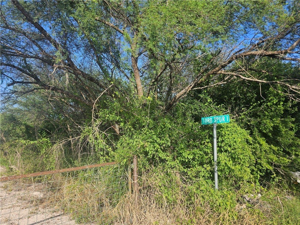 10.1 acres in Duval County - photo 3