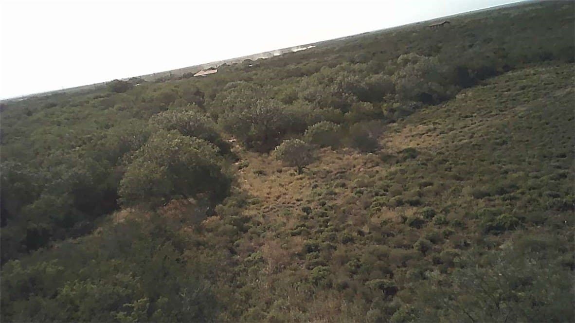 10.1 acres in Duval County - photo 9