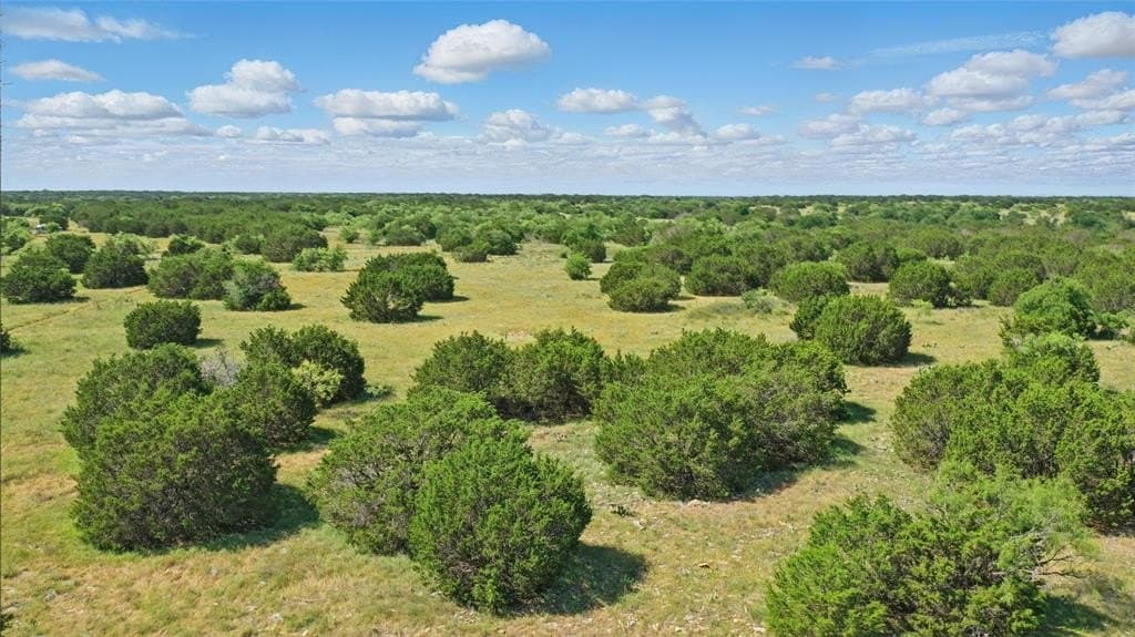 26 acres in Palo Pinto County - photo 7