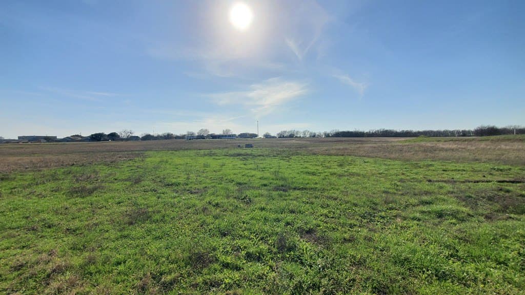 13.97 acres in Navarro County - photo 24