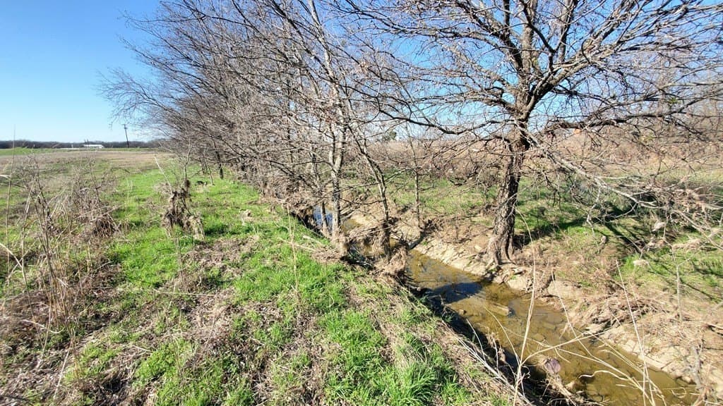 13.97 acres in Navarro County - photo 20