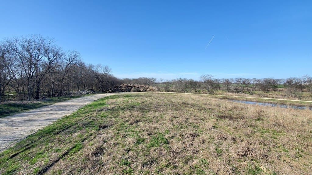 13.97 acres in Navarro County - photo 16