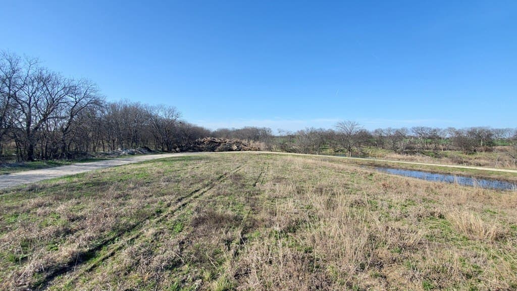 13.97 acres in Navarro County - photo 31