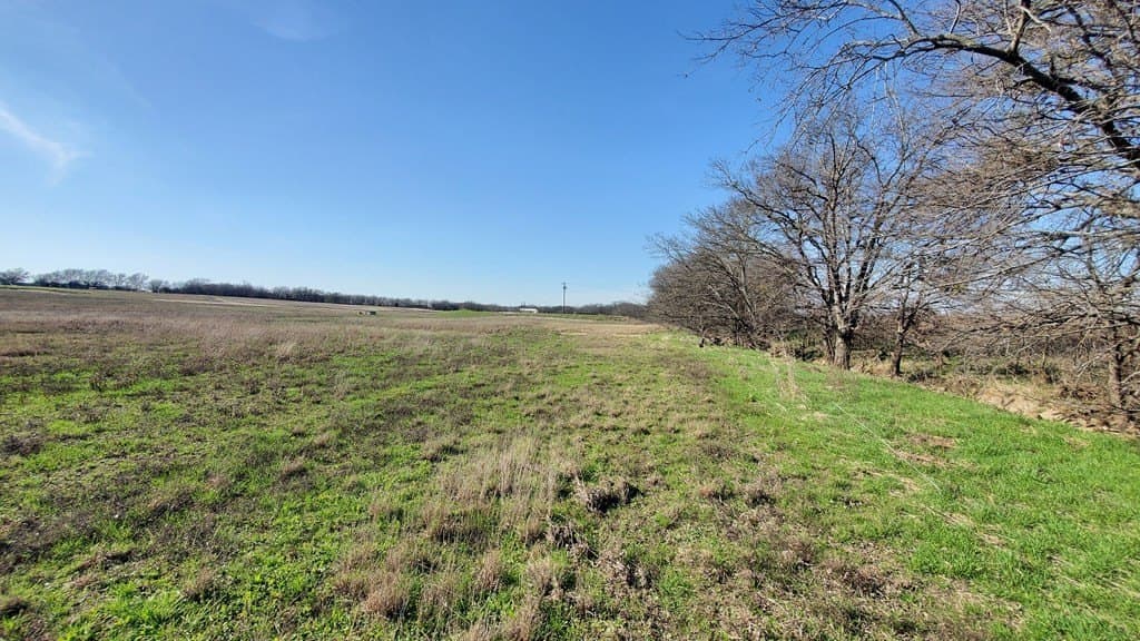 13.97 acres in Navarro County - photo 19