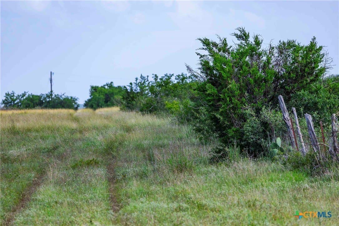 12.5 acres in Burnet County - photo 11