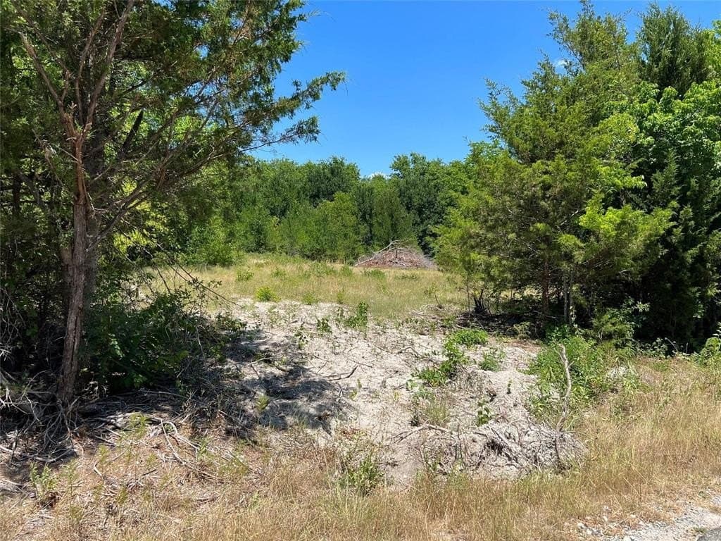 22.73 acres in Grayson County - photo 2