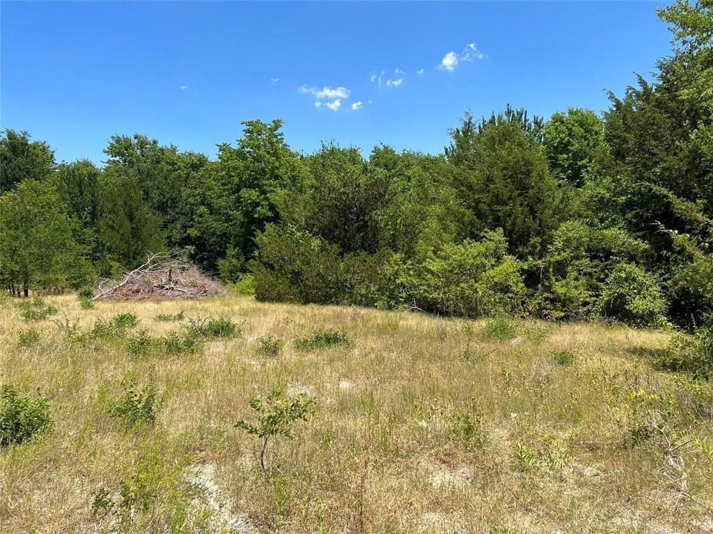 22.73 acres in Grayson County - photo 5