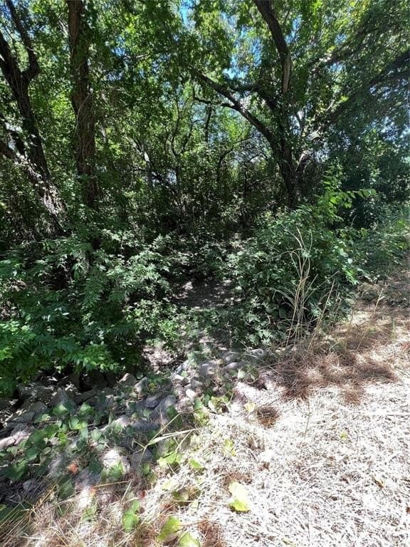 22.73 acres in Grayson County - photo 9