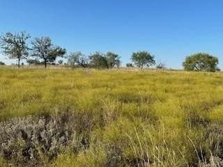 2.5 acres in Parker County - photo 8