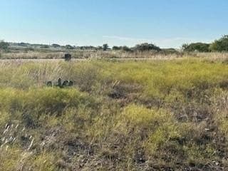2.5 acres in Parker County - photo 7