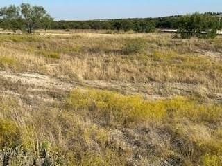 2.5 acres in Parker County - photo 10