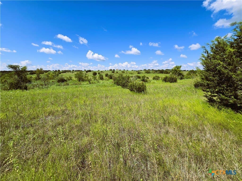 10.01 acres in Hamilton County - photo 8