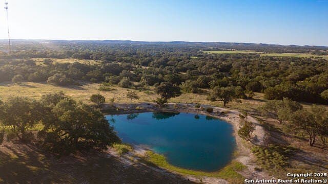 98.73 acres in Blanco County - photo 9