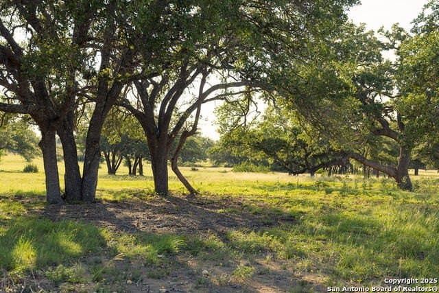 98.73 acres in Blanco County - photo 24