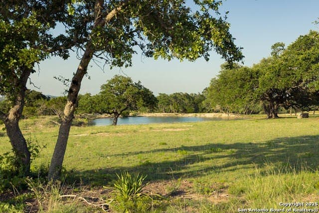 98.73 acres in Blanco County - photo 20