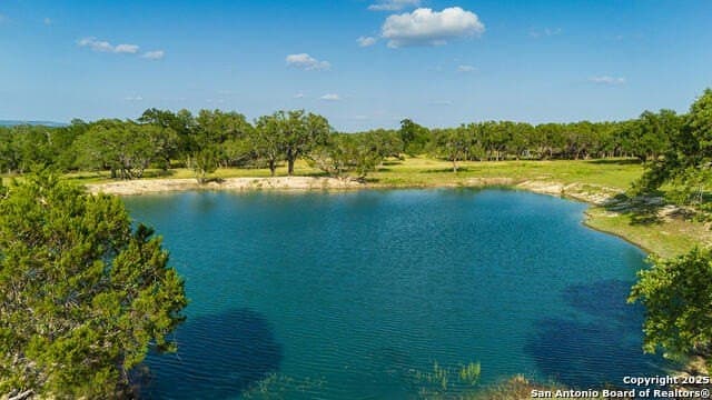98.73 acres in Blanco County - photo 18