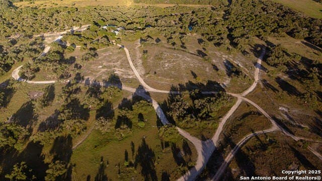 98.73 acres in Blanco County - photo 2