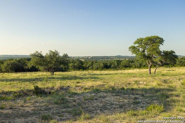 98.73 acres in Blanco County - photo 25