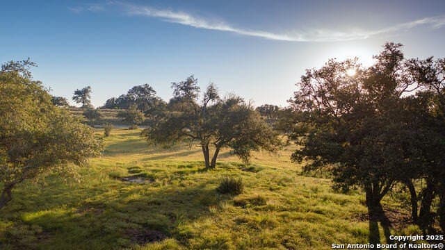 98.73 acres in Blanco County - photo 5