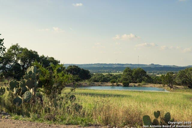 98.73 acres in Blanco County - photo 19