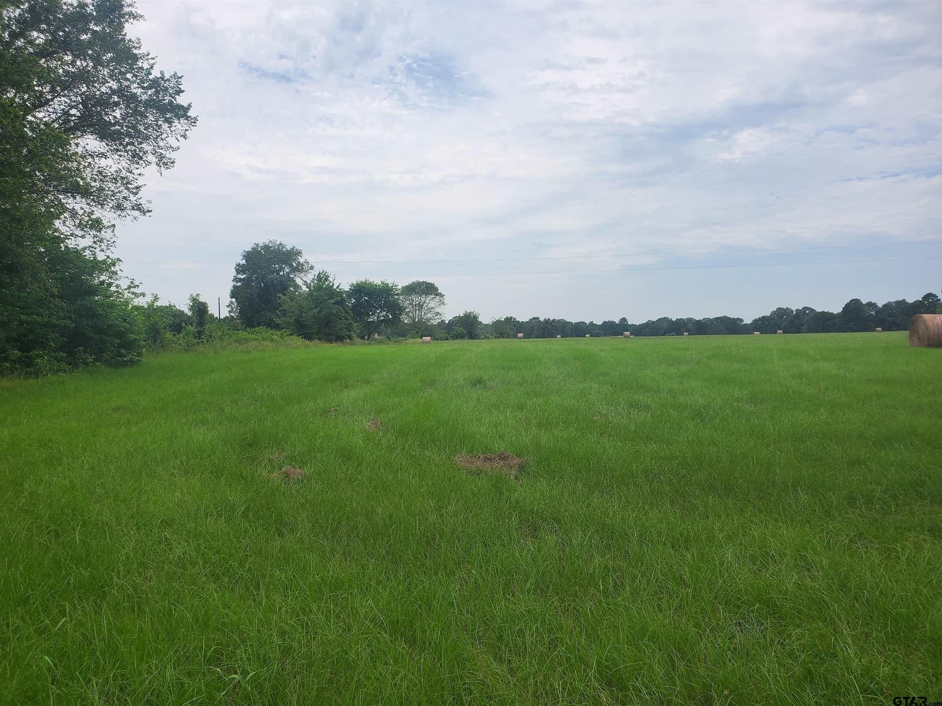 60 acres in Henderson County - photo 2