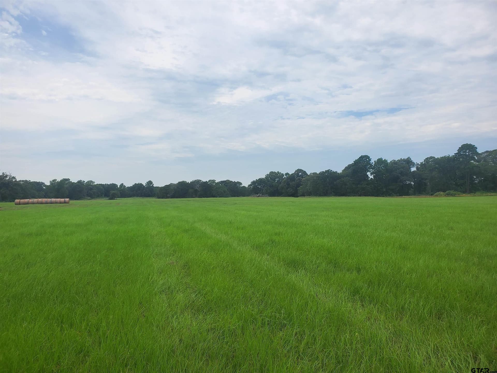60 acres in Henderson County - photo 5