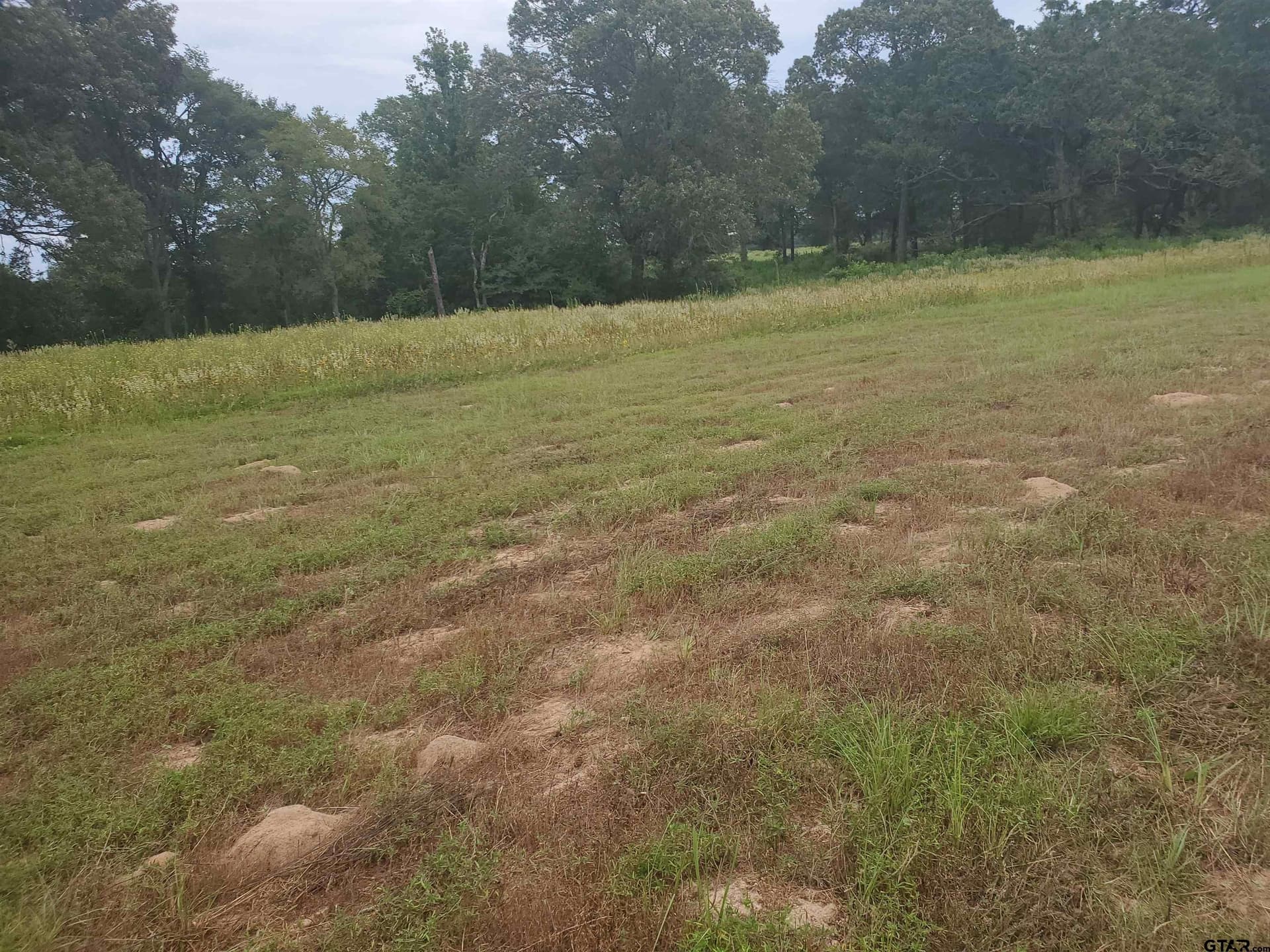 60 acres in Henderson County - photo 15