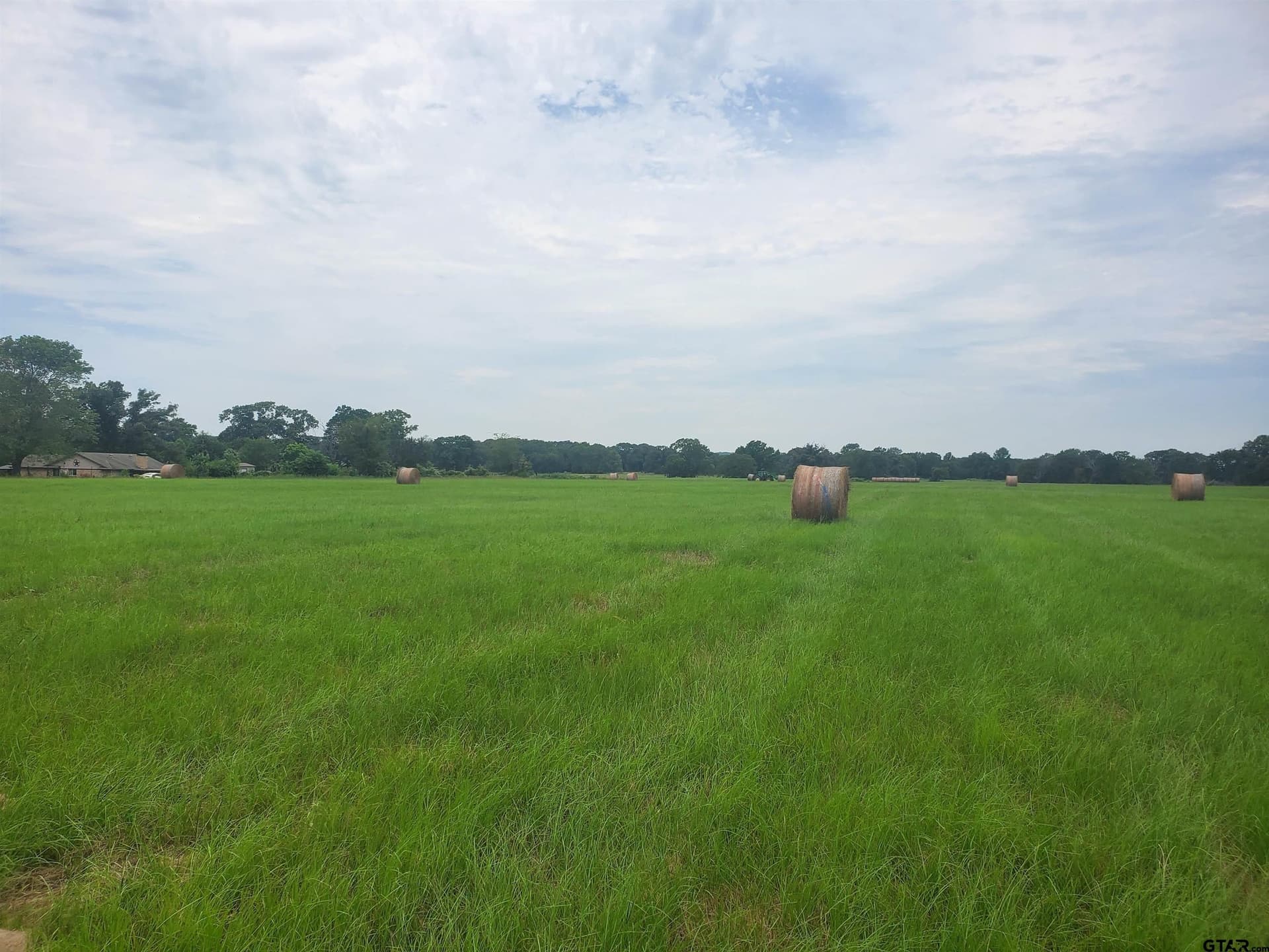 60 acres in Henderson County - photo 3