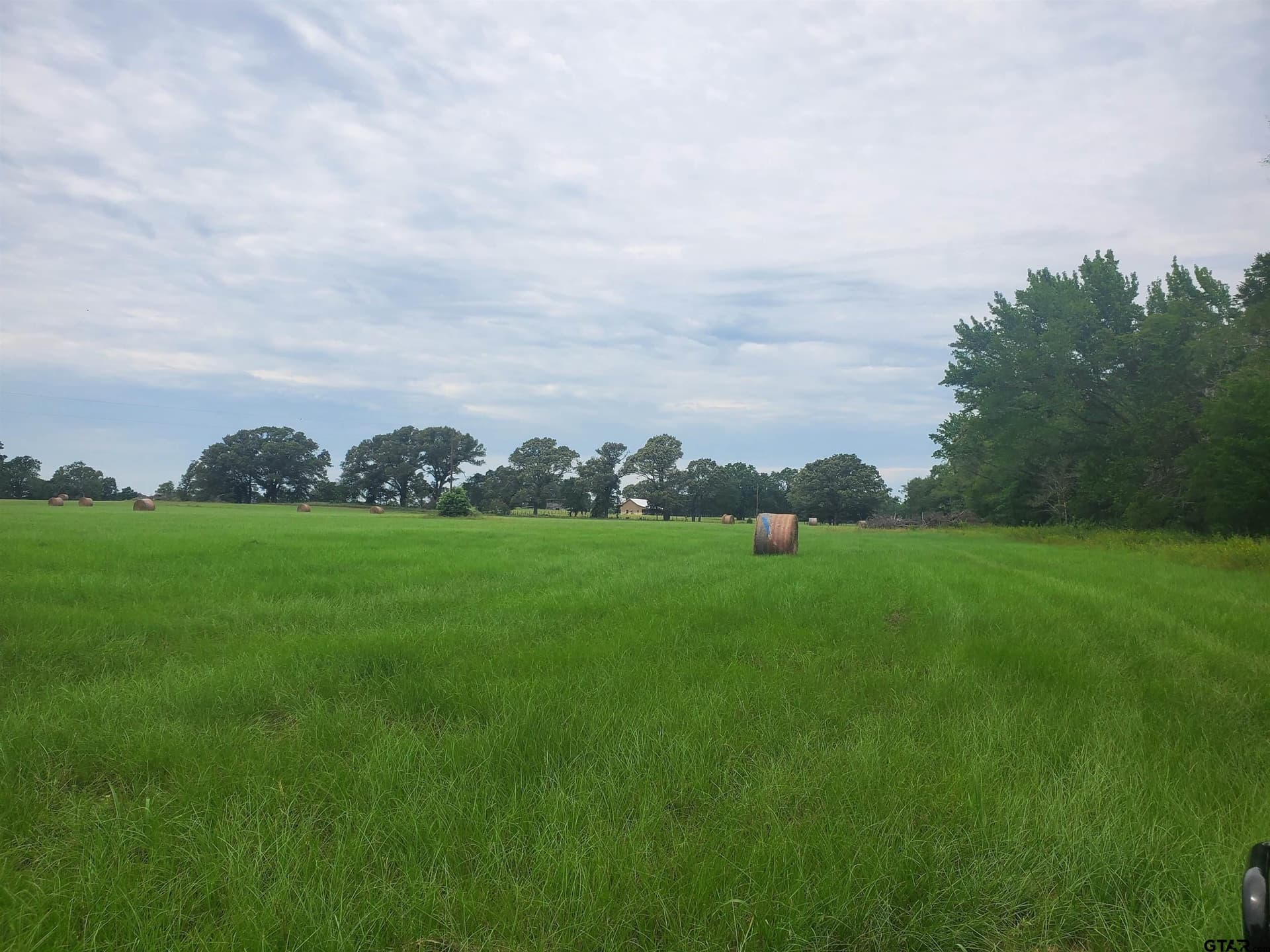 60 acres in Henderson County - photo 6