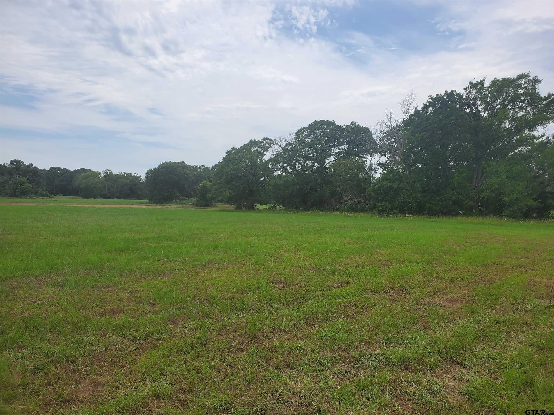 60 acres in Henderson County - photo 11