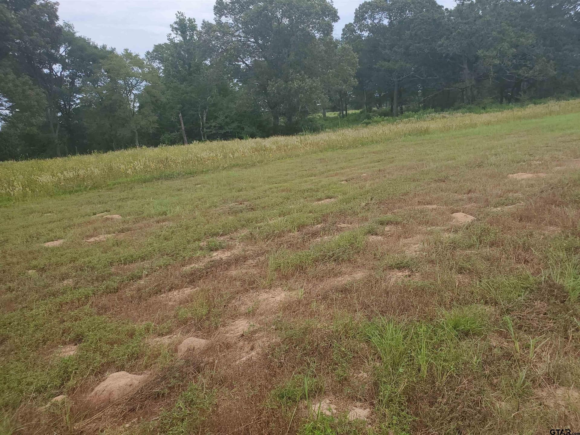 60 acres in Henderson County - photo 12